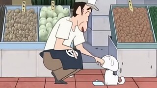 Xiaobai is indeed the dog god!