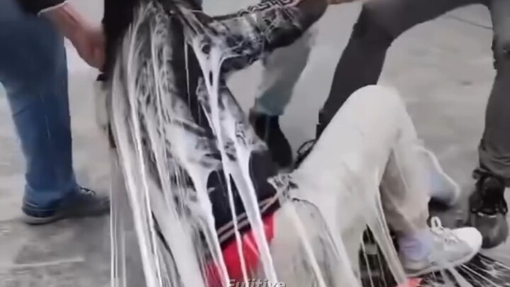 A Random Video More Chaotic Than Your Graduation Thesis in 59 Seconds