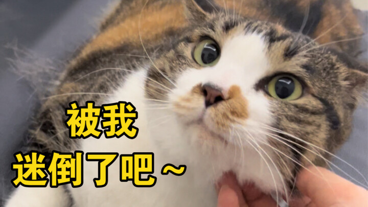 เดือนกันยายน: รูปลักษณ์ที่น่ารักที่สุด ต้องใช้ในช่วงเวลาสำคัญเท่านั้น!