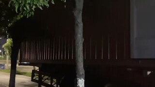 缺钱 缺觉 缺心眼 就是不缺一身肉