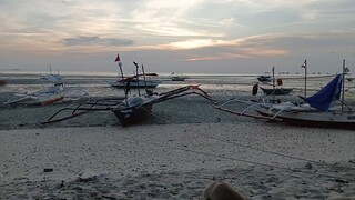 WHAT'S THAT ? DID YOU SEE IT ?