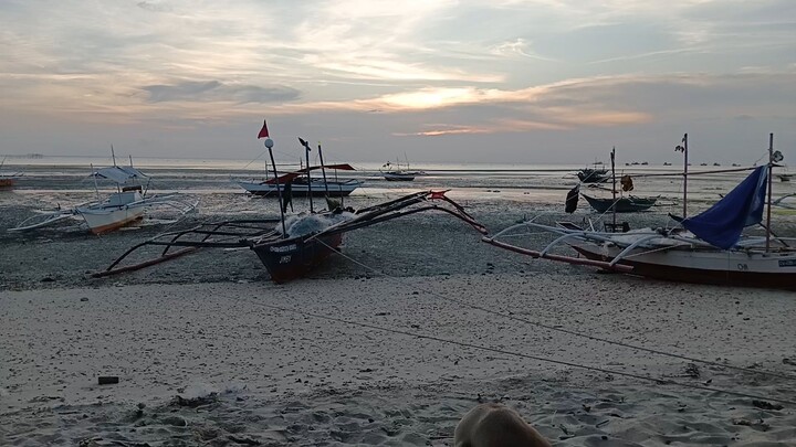 WHAT'S THAT ? DID YOU SEE IT ?