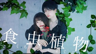 【ぶっきー＆えてろ】食虫植物　踊ってみた　4K【原创振付】