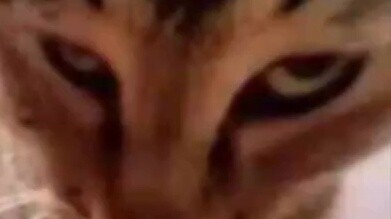 Tiền đặt cọc không được hoàn lại? Không thể nào! Lao Gui sẽ dạy bạn một mẹo! Đây là hướng dẫn về các