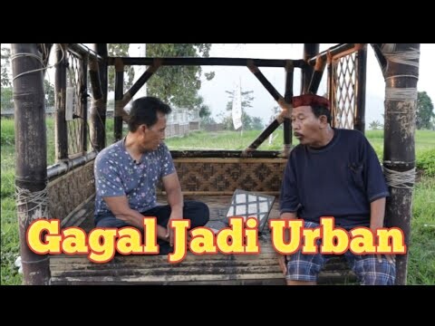 GAGAL JADI URBAN.               @GUSI Guyon Berisi