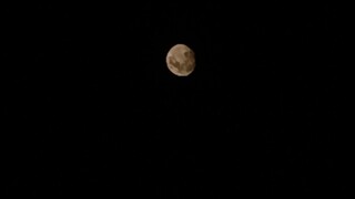 zoom bulan keren banget 🤩