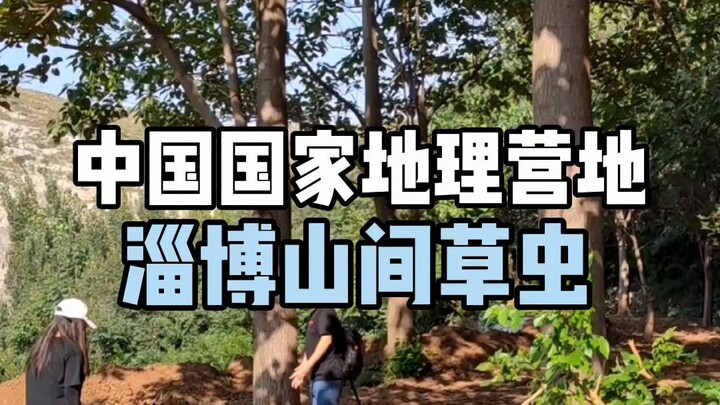 【China National Geography Camp】 Cordyceps in the Mountains of Zibo