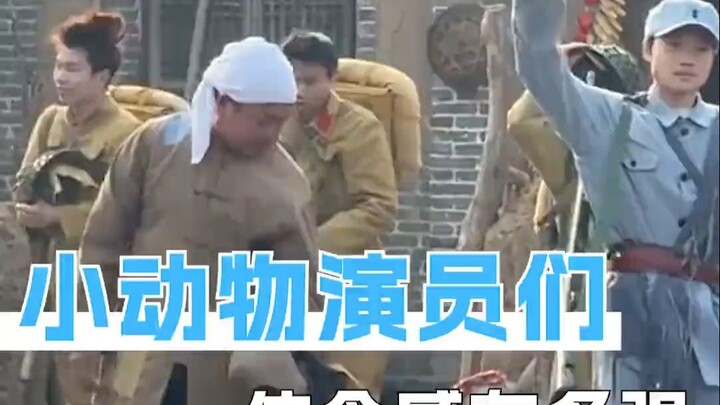 Kaifeng, why didn’t you say earlier that you’ve got so many adorable little animals who are basicall