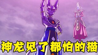 高傲的神龙看到比鲁斯，瞬间变成了毛毛虫