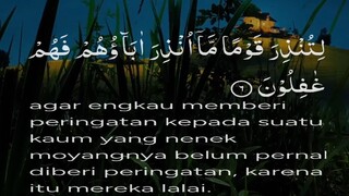 🌿 Surat Yasin Ayat 1–6 | Hati Tenang dengan Lantunan Indah & Penuh Makna