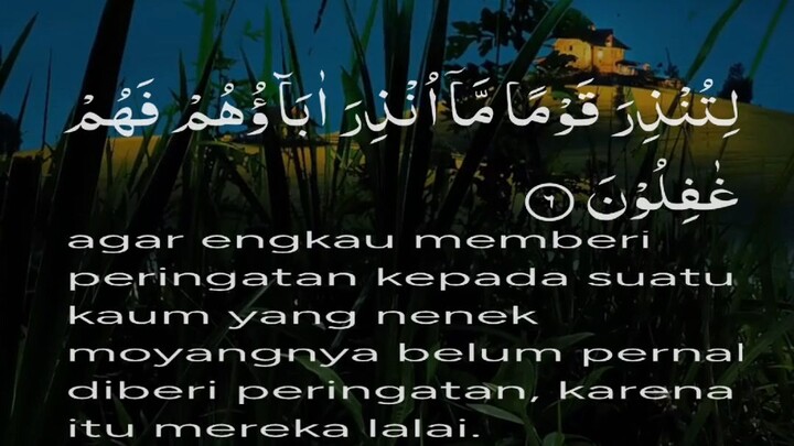 🌿 Surat Yasin Ayat 1–6 | Hati Tenang dengan Lantunan Indah & Penuh Makna