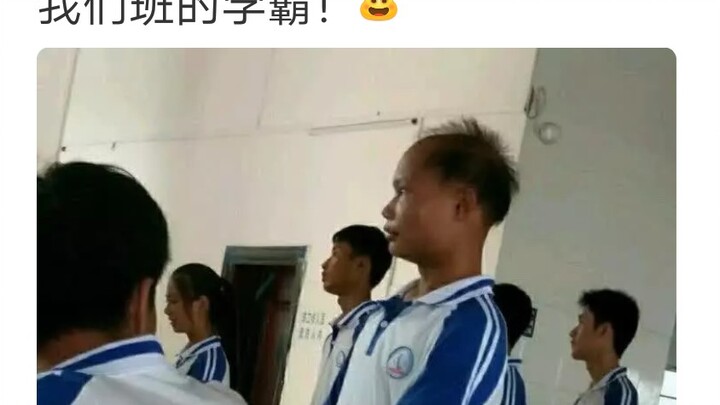 Hilarious &amp; Ridiculous Memes (Issue 28)