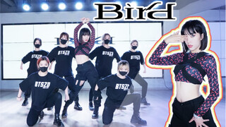 【孙子团】最新女Solo单曲Apink南珠-Bird翻跳