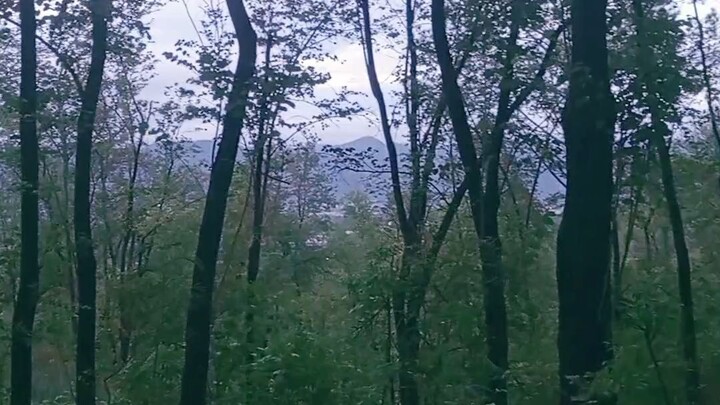Peace, Greenery & Beautiful Views 🌿