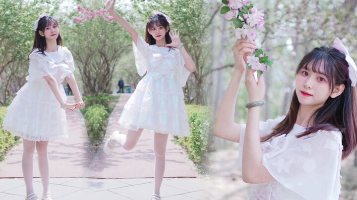 【One mirror vertical screen】I'm so sorry for being so cute.