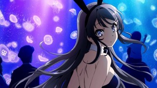 [Sakurajima Mai] Rutinitas seribu lapis Mai-senpai