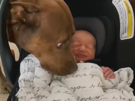 สุนัขชอบเจ้านายตัวน้อย!