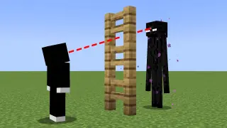 will the enderman notice me