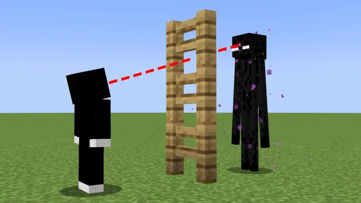 will the enderman notice me