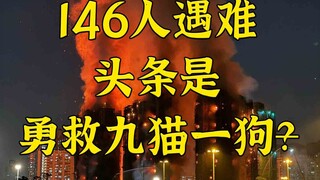 146 người thiệt mạng, tại sao tiêu đề lại là dũng cảm cứu 9 con mèo và 1 con chó?!
