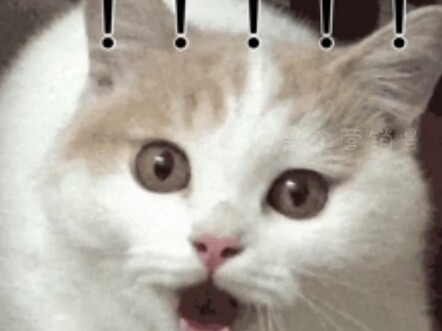 最好笑的是一个小学生再给一个大学生煮饺子 #搞笑 #万万没想到 #小孩姐