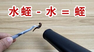 水蛭变干蛭，用暴力吹风机能把水蛭吹干吗？