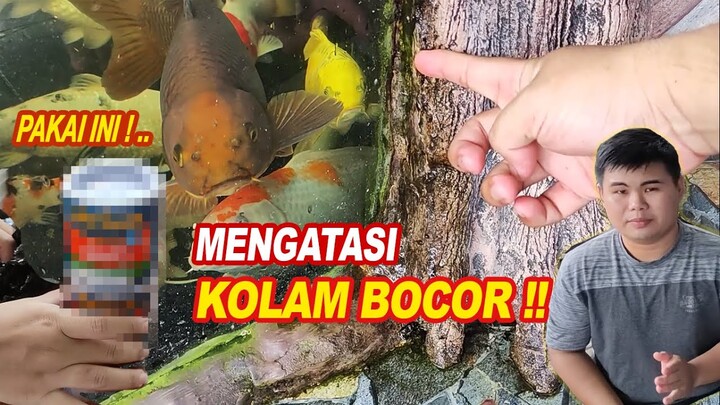 Mengatasi Kolam Ikan Bocor, Tambal Pakai Ini Saja..