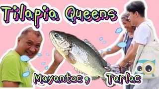TILAPIA FEEDING EXPERIENCE | ATEBANG THE FISHERMAN