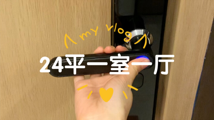 Căn hộ 24m² một phòng ngủ, một phòng khách | Ngôi nhà của cô gái bình thường