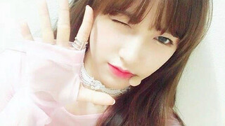 يبدو أن هذه الأخت نسيت تمامًا دروس السيلفي التي تعلمتها عندما كانت محبوبة!