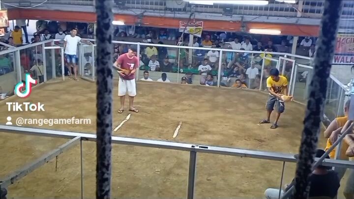 1 cock derby championship mikon ko yan mga idol hindi lang ma post sa tiktok