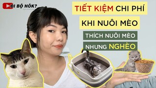 TIẾT KIỆM CHI PHÍ NUÔI MÈO, nghèo nhưng vẫn nuôi được mèo | series nuôi mèo