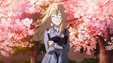[ Your Lie in April ] The spring without you is coming again...