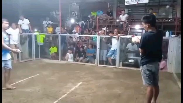 3-30-23/champion 3cockderby @tungaleyte(roymarmita bloodline)