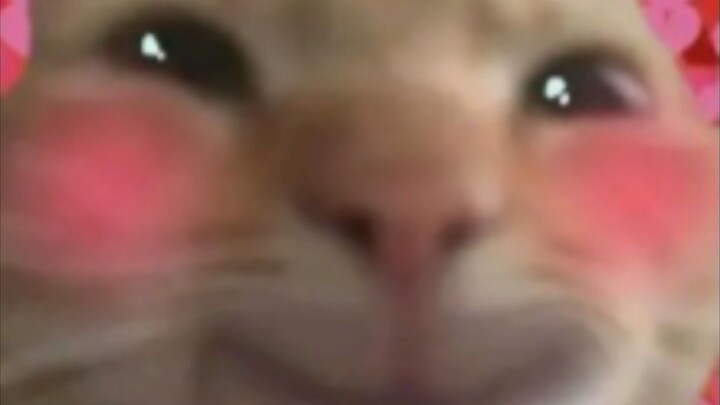 Video đầu tiên của toii