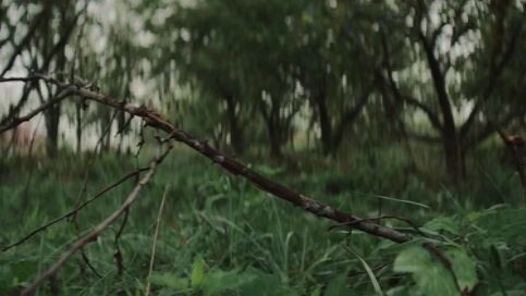 Shut In 2022 Movie /Follow me,Comment and press like button if you enjoy this movie.💗💗💗