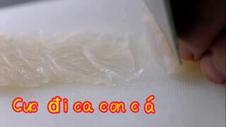 Cuộc đời của con cá