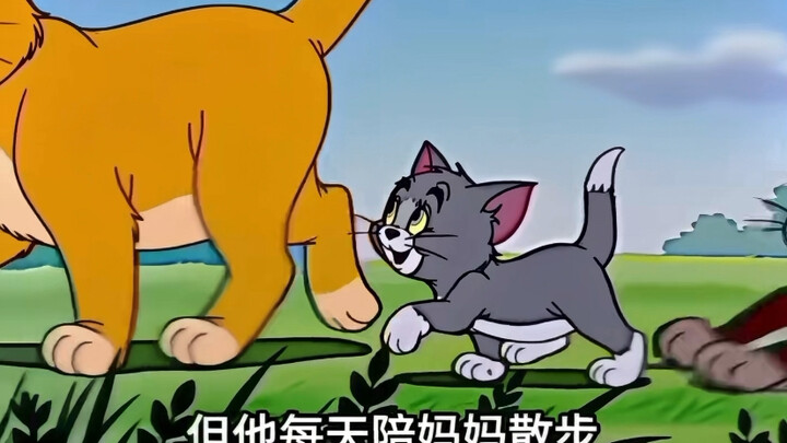 “It’s because the mother cat has nowhere to go.”
