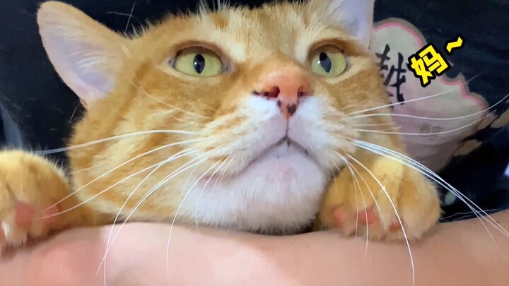 Teknik turun-temurun yang diajarkan abang ganteng ini memang wajib dipakai! Tapi siapa yang mengguna