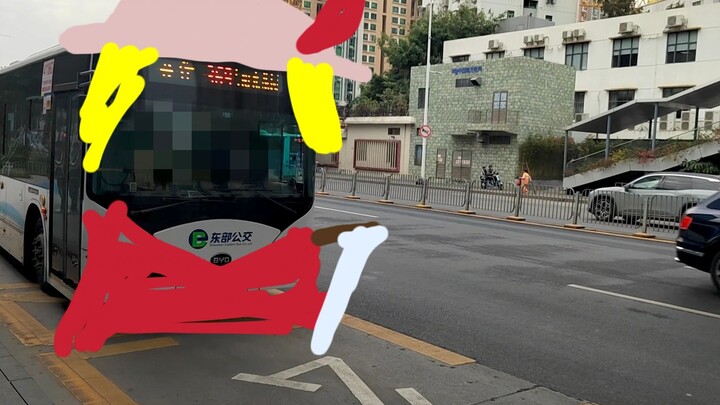 [Auto-tuned MAD] [By Bus In Shenzhen] Bad Apple!!!