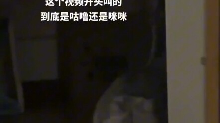 غريب جدًا! في البداية سمعت "ميمي"، ثم تحوّل الأمر بعدها إلى "غورول".