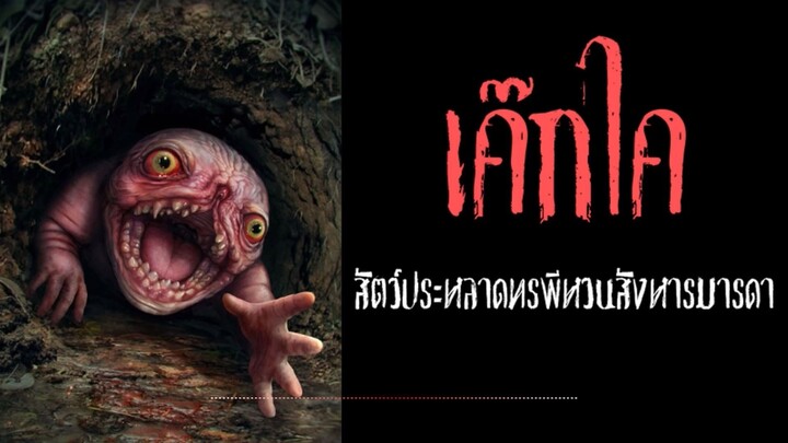เค๊กไค  สัตว์ประหลาดทรพีหวนสังหารมารดา