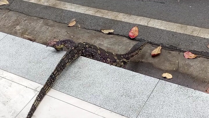 โชคลาภ