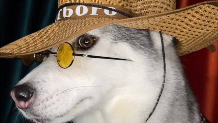 Gimana bisa ada video Xiang Nai’er tanpa Mi Xiu?