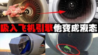 [مفرمة اللحم الأكثر رعباً] هذه هي أسرع طريقة لتحويل الشخص إلى لحم مفروم.