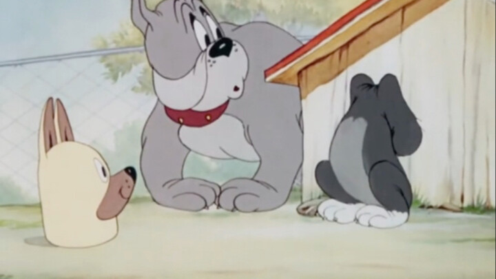 Sốc quá đi thôi, Spike