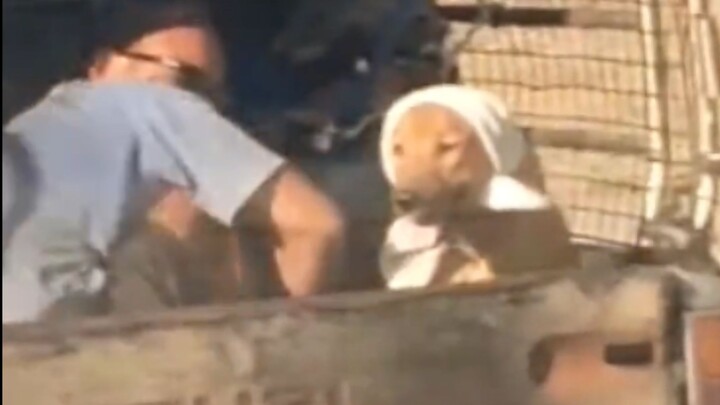 Woohoo! Back home with my owner~