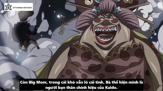 Vittorino hèn nhát - Review - Luffy vs Bigmom - Tộc Mink Hóa Sulong #anime #schooltime
