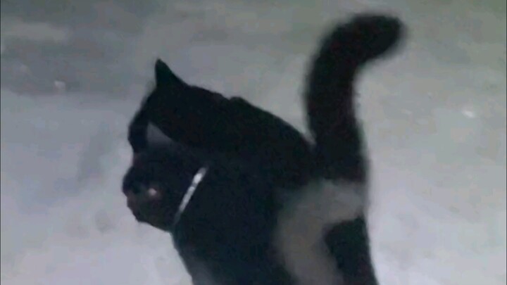 Aku nggak bisa bedain, aku bener-bener nggak bisa bedain!