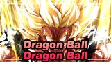 [Dragon Ball] Kau hanya bisa mnegalahkan Dragon Ball dengan Dragon Ball